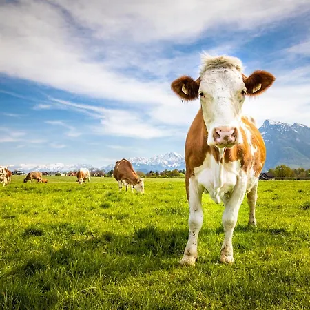 Schlagerbauer Biohof