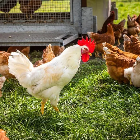 Schlagerbauer Biohof 別荘 *