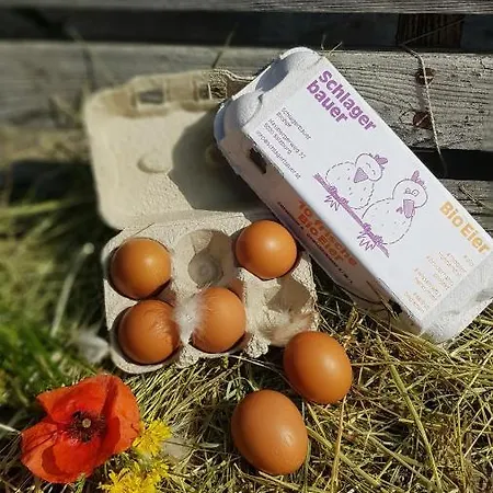 別荘 Schlagerbauer Biohof