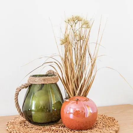 Schlagerbauer Biohof Semesterbostad