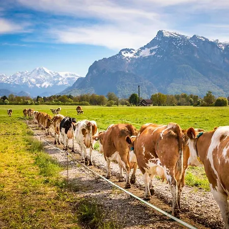 Schlagerbauer Biohof Semesterbostad Salzburg